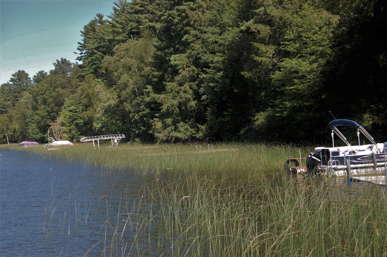 How does your shoreline measure up? Take this survey! The Lake Guy