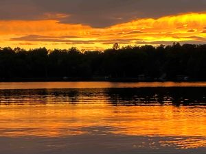 BirchSunset5