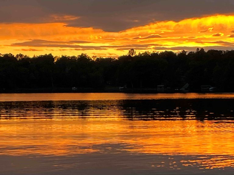 BirchSunset5