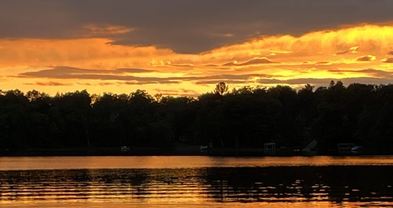 BirchSunset-Orange