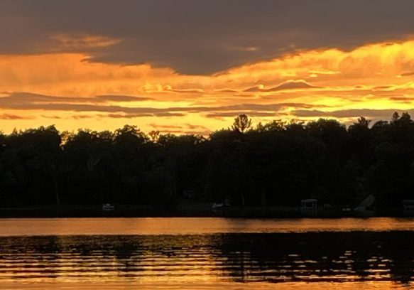 BirchSunset-Orange