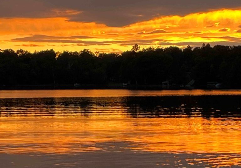 BirchSunset5